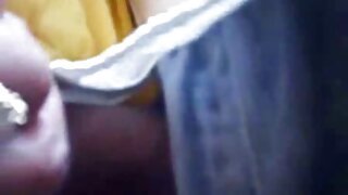 मादक अंतर्वस्त्रातील गुळगुळीत श्यामला बेब तिची मांजर खोदते