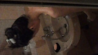 तोंडाला पाणी देणारी कुत्री नेली केंट दाखवणारी हार्डकोर एनल सेक्स क्लिपची ही वेळ आहे. ती सर्व स्तुतीच्या वर आहे. फक्त तिच्या छान उसळत्या स्तन आणि मोठ्या रसाळ गांडावर एक नजर टाका जी डॉगी स्टाईल स्थितीत परिपूर्ण दिसते. आरामदायक व्हा आणि रोमांचक नेली केंट गुदद्वारासंबंधीचा सेक्स सीन विनामूल्य पहा.